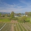 Walserhof