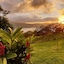 Ceiba Tree Lodge