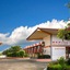 Cherry Blossom Motel
