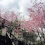 Spring Ground B&B