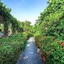Mekong Lodge Hotel & Resort