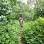 Explorer By Eco Team - Sinharaja