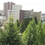 Hotel Green With
