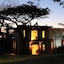 Forest Lodge