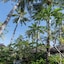 Palm Garden Amed Beach & Spa Resort Bali