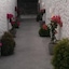 Greentree Villa