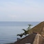 The Beach Front Villas - North Bali