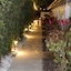 Siesta Key Palms Resort