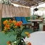 Cactus Host