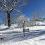Le Tillau