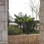 Apartment Ocean Front Praia Estoril