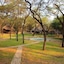The Tree Lodge At Sikumi