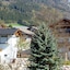 Das Urgestein