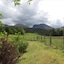 Mayfield B&B