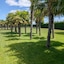 Natura Resort