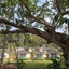 Krabi Home Resort