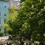 Hotel Collect – Adults Only