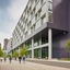 Sable At Navy Pier Chicago, Curio Collection By Hilton