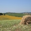 Podere Maremma Spa & Ristorante