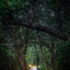 Mbano Manor Hotel Victoria Falls