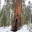 Hampton Inn Oakhurst-Yosemite
