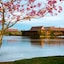 Disney's Polynesian Villas & Bungalows