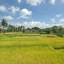 Danakha Villa Ubud