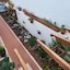 Gueldera Apartments