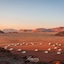 Wadi Rum Ufo Luxotel - Campsite