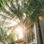 M Resort Phu Quoc