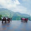 Hotel Monal