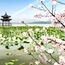 Hangzhou