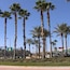Kissimmee, FL