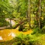 Furnas