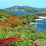 Rodney Bay