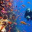 Grande Barrière de Corail