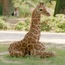 Zoo de Frankfort