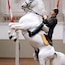 Spanish Riding School