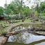 Jardins Zoologiques