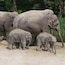 Zoo Zurcher