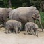 Zoo Zurcher