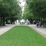 Parc de Bruxelles