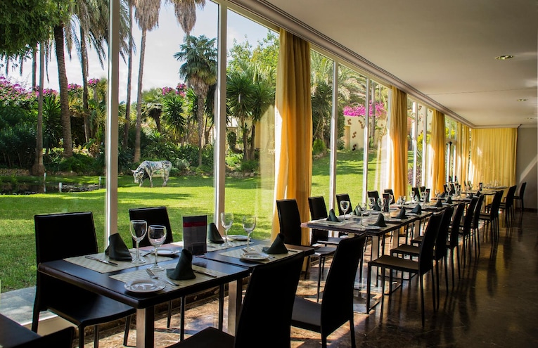 Restaurants - 1