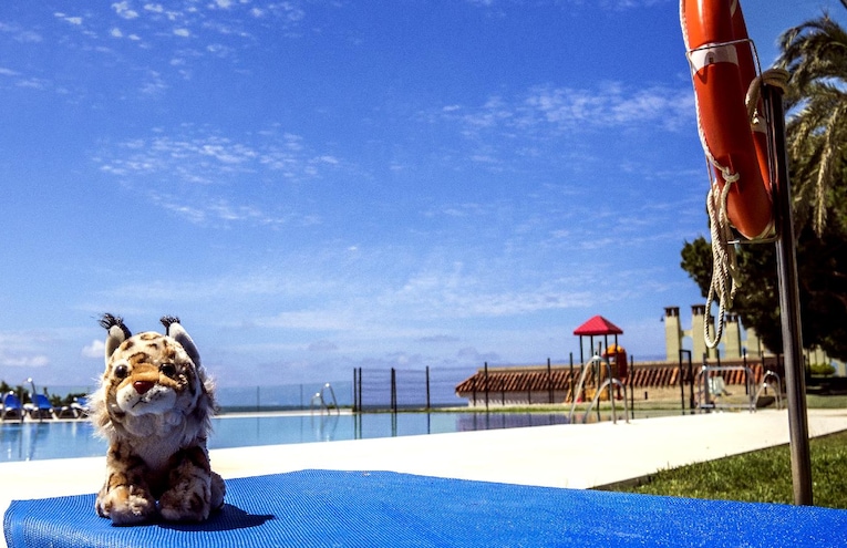 Piscines - 1