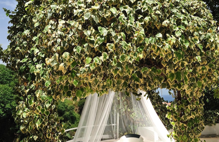Spas - 3