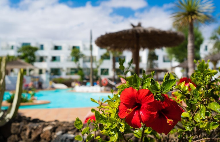 Piscines - 1