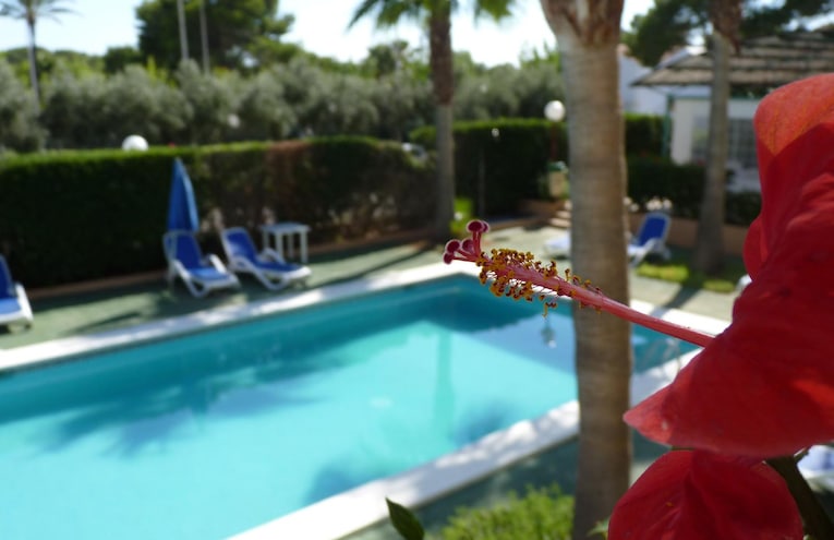Piscines - 2