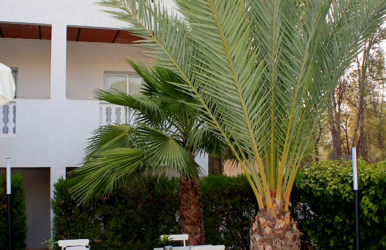 Piscines - 2