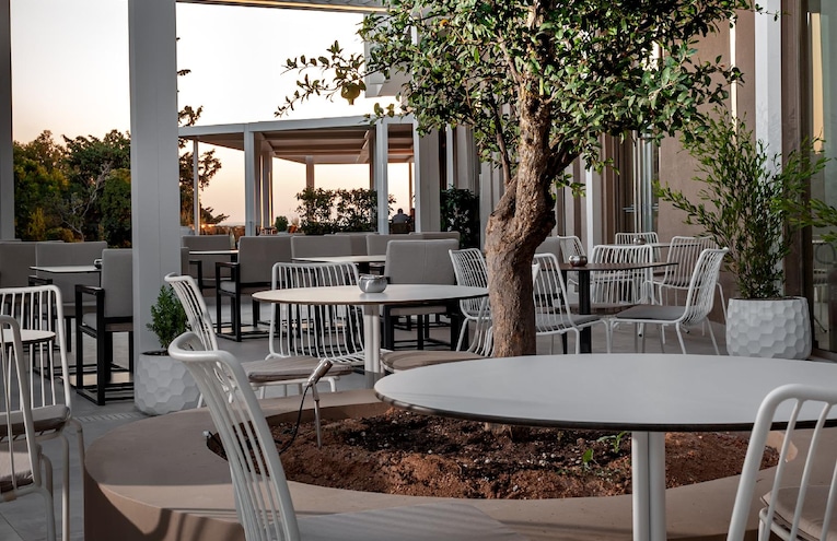 Restaurants - 1