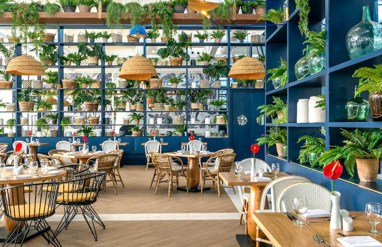 Restaurants - 2